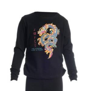 2265808 Μπλουζάκι μακρυμάνικο ,λεπτό, με τύπωμα μπροστά