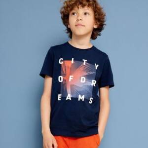 13213248 Μπλουζάκι κοντομάνικο με τύπωμα εμπρός σε τρείς αποχρώσεις ,εφηβικό αγόρι